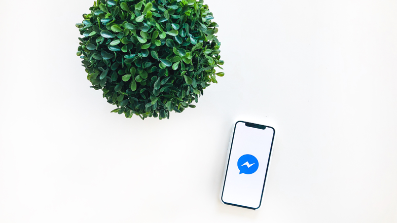 Whatsapp-dating 101+ Exciting